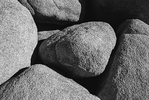 Granite Tree National Park- California Art Print